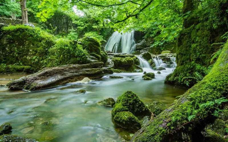 创意高质量